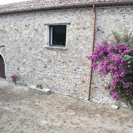 Fellino * Rossano