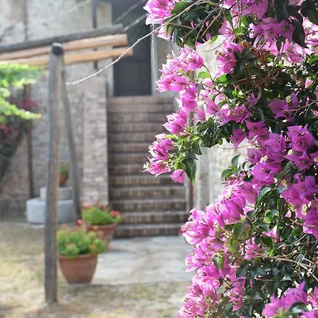 Fellino Agroturismo *